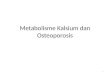 Metabolisme Kalsium Dan Osteoporosis (10)