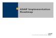 SAP ASAP process OverviSAP ASAP process