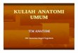 Anatomi Umum (Introduction)