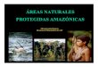 Areas Naturales Protegidas Amazonicas