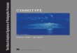 Atlas Cyanotype