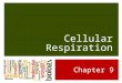 10 Cellular Respiration .pptx