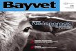 Bayvet_30 (Neosporosis).pdf
