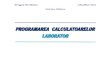 Indrumar Laborator Programarea calculatoarelor