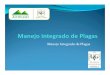 Manejo Integrado de Plagas_MIP