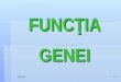 Curs 4 MG Functia Genei OCT 2010