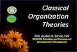 theory of organization best.pdf