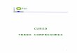 Curso Turbocompresores - TURBINA MS-5002C