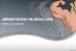 Hipertrofia muskulare