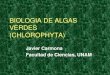 Clase Chlorophyta(1)