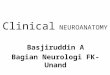2 neuroanatomy