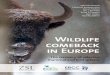 Wildlife Comeback in Europe: The Recovery of Selected Mammal and Bird Species. Videnskabelig rapport 2013