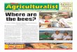 The Agriculturalist Newspaper - September 2013