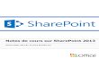 MS SharePoint Portal Server 2013 SuperUsers Tips