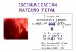 Isoimunizacion Materno Fetal