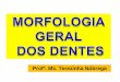 Morfologia Geral Dos Dentes