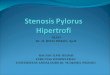 Stenosis Pylorus Hipertrofi-1.ppt