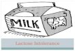 Galactosemia and Lactose Intolerance Powerpoint Final (1)