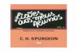 Lições aos Meus Alunos - Vol. 2 - C. H. Spurgeon
