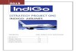 Indigo Airlines Report
