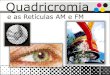 Quadricomia Retícula AM - FM