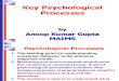 04 Key Psychological Processes