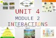 Unit4 Module 2 Interactions Mms123
