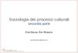 Sociologia dei Processi Culturali 2