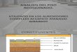 ANALISIS DEL PISO ADOQUINADO DE LOS ALREDEDORES COMPLEJO (1).pptx