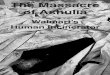 Massacre of Ashulia: Walmart's Human Incinerator