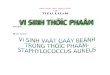Vi Sinh Vat Gay Benh Trong Thuc Pham Staphylococcus Aureus 9reJr 20130226095153 19
