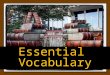Essential vocabulary Everyone should know