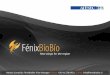 Fénix BioBio versión english