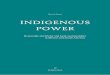 Indigenous Power: Renewable electricity and local sustainability in Mexico and South America
