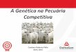 Apresentação workshop araguaína   cassiano pelle - gerente técnico delta gen