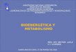 Bioenergetica y metabolismo2 power point