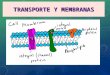 Transporte y membranas