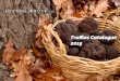 Catalogue truffles