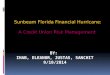 Ihab Itani, Eleanor, Justas, Sanchit-Florida Financial Hurricane-Credit union risk