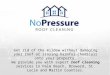 No Pressure Roof Cleaning in South Florida