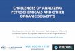 Challenges of Analyzing Petrochemicals and Organic Solvents
