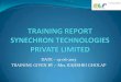 Training report: Synechron Technologies Private Limited