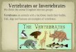 2nd qtr 8a characteristics of vertebrates