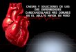 Causas y soluciones de las dos enfermedades cardivasculares