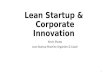 Lean Startup & Corporate Innovation Strategies - April 2015