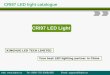Xinghuo CRI 97 LED Light catalogue