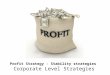 Profit strategy   stability strategies  - corporate level strategies
