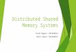 Distributed Shared Memory Systems