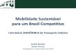 Mobilidade sustentável brasil competitivo