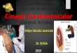 Catedra de cirugia cardiovascular  EMPIEMA PLEURAL